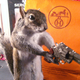 Illustration for article titled Taxidermy Driver